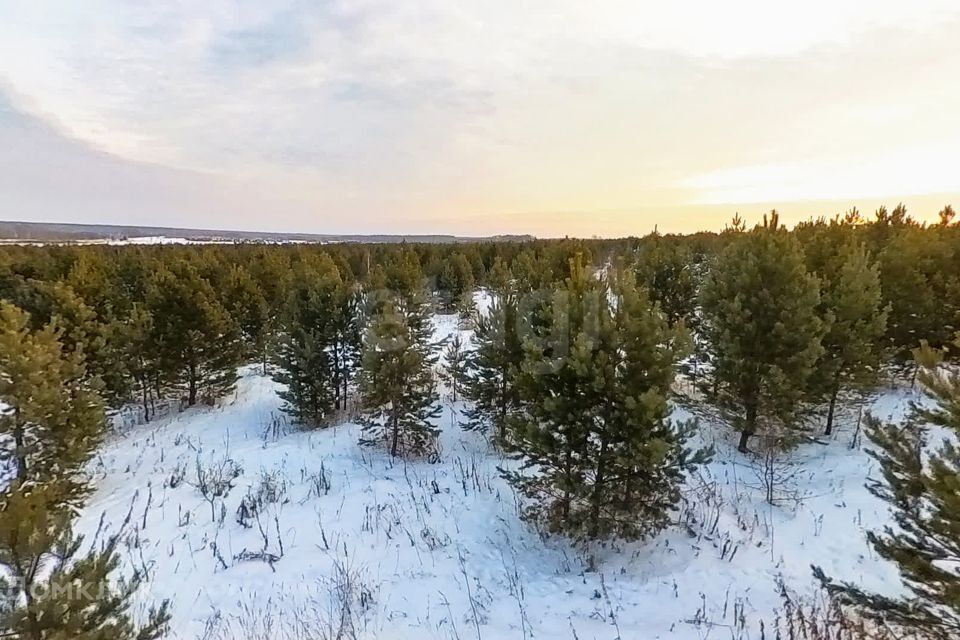 земля р-н Слободо-Туринский с. Липчинское фото 4