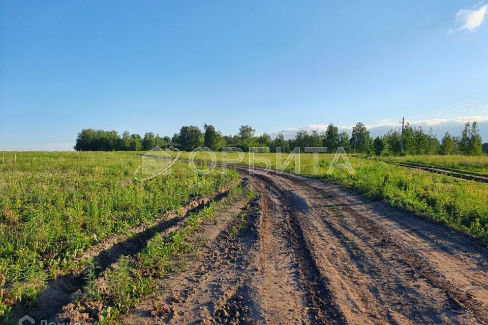 земля р-н Тюменский с. Луговое фото 2