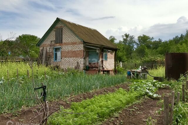 СНТ Зелёный Затон фото