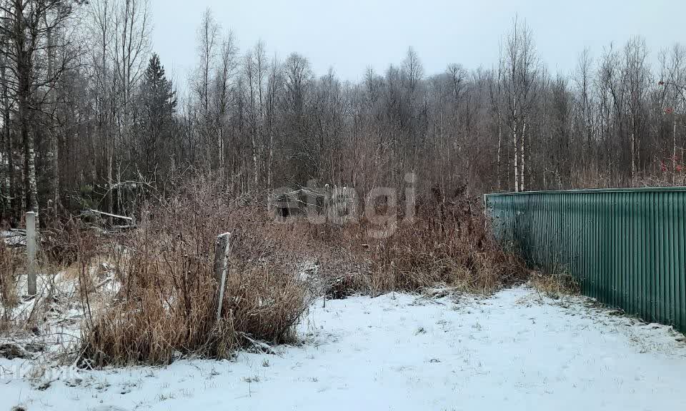 земля Северодвинск городской округ, СОТ Беломор фото 2