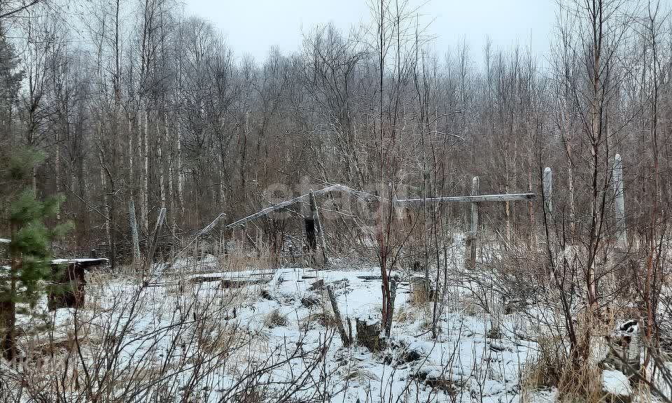 земля Северодвинск городской округ, СОТ Беломор фото 3