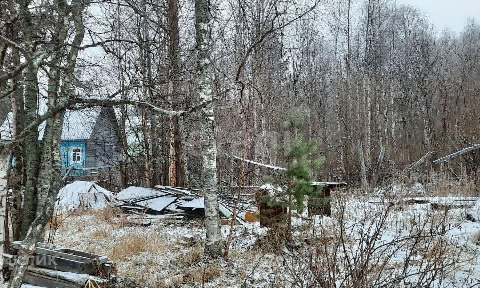 земля Северодвинск городской округ, СОТ Беломор фото 4