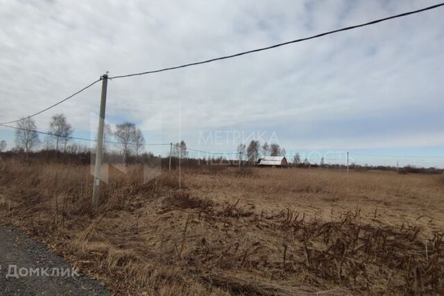 земля Тюмень городской округ, СТ Поле чудес-2 фото