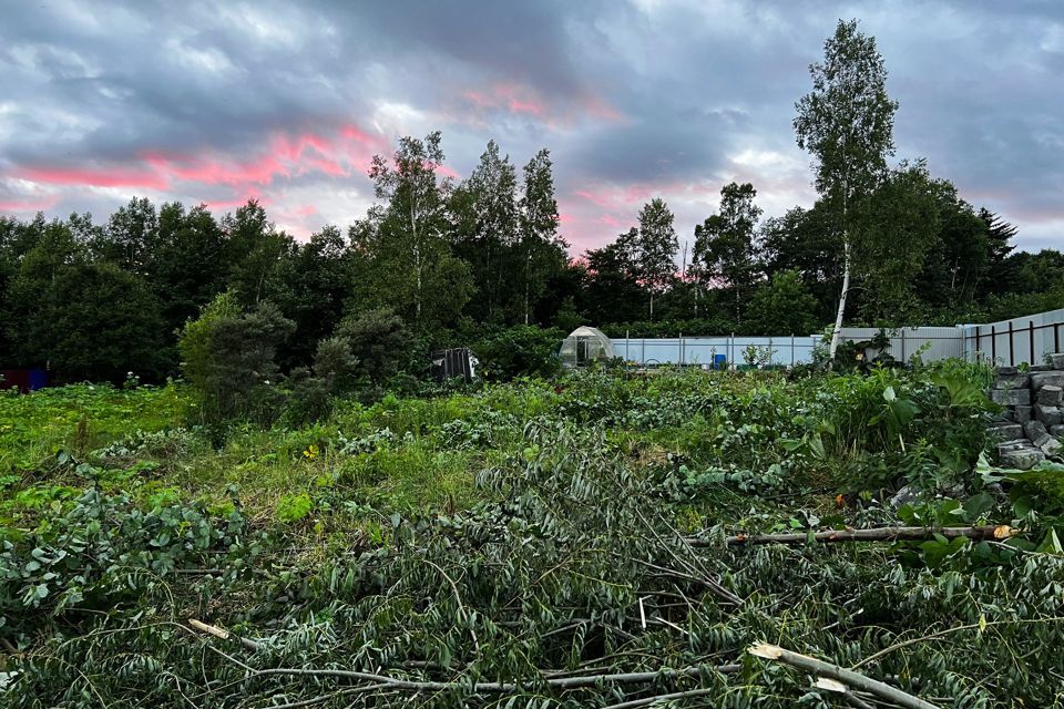 земля Южно-Сахалинск городской округ, СНТ Урожай Ёлочки фото 2