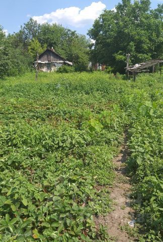 ул Шаляпина Шахты городской округ фото