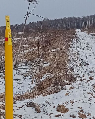 земля ул Юбилейная 4 сельское поселение Ильинское, Кудиново фото