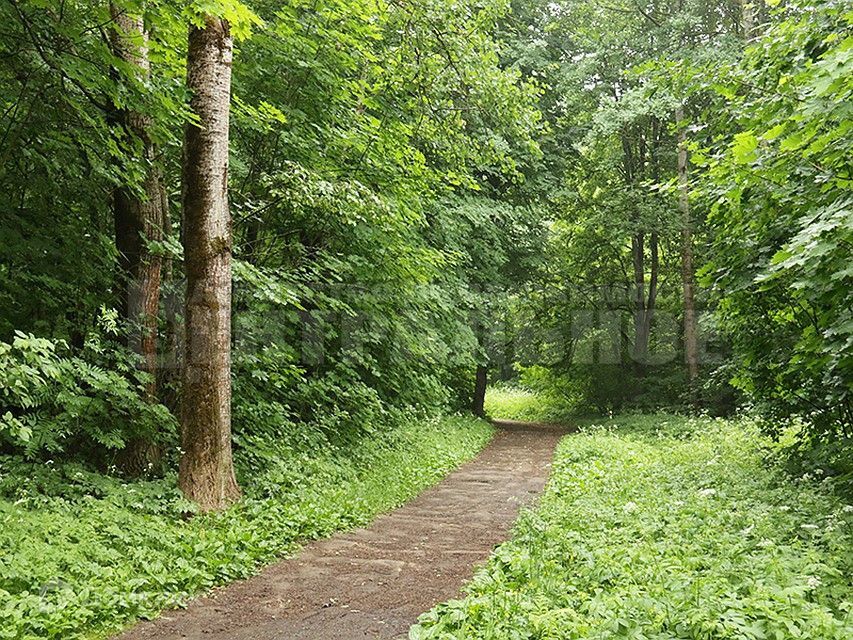 земля г Смоленск Ленинский, Смоленск городской округ фото 6