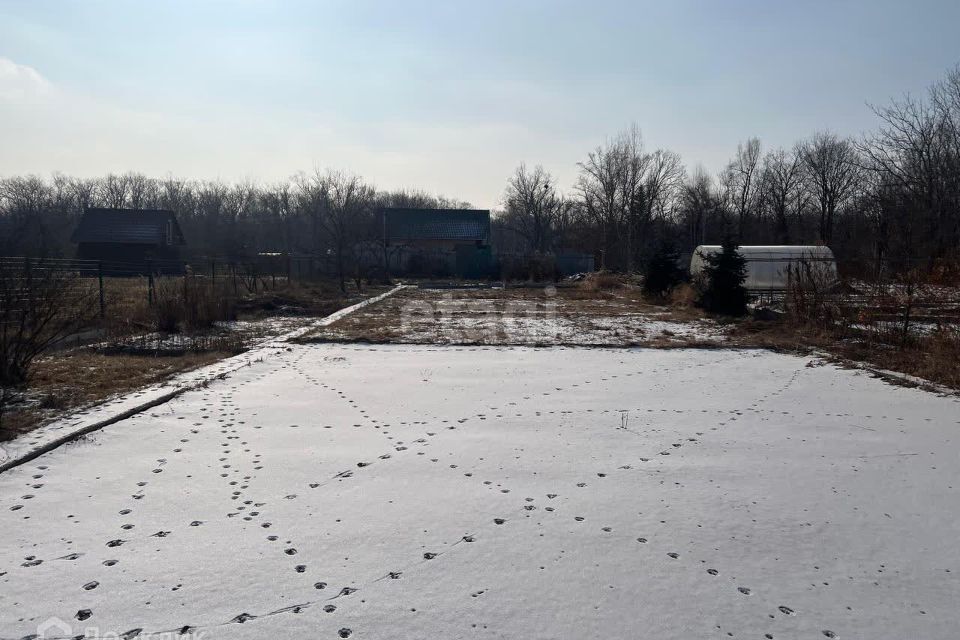 земля г Артем Артёмовский городской округ, СНТ Аралия фото 1