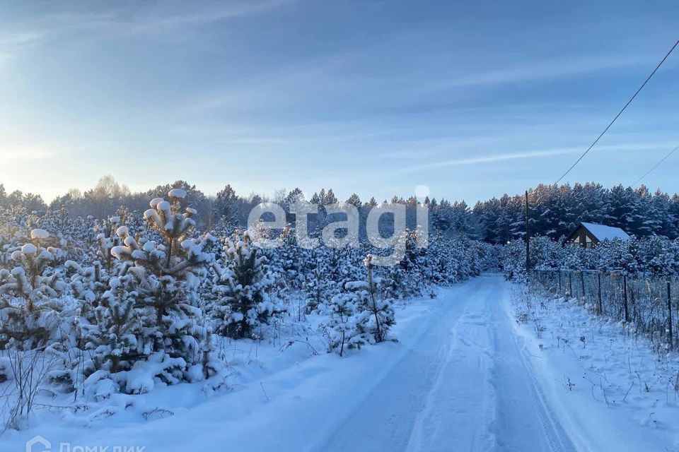 земля р-н Емельяновский СНТ Гринбург фото 7