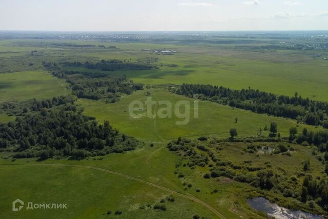 Тюмень городской округ, ТОО Ембаевское фото