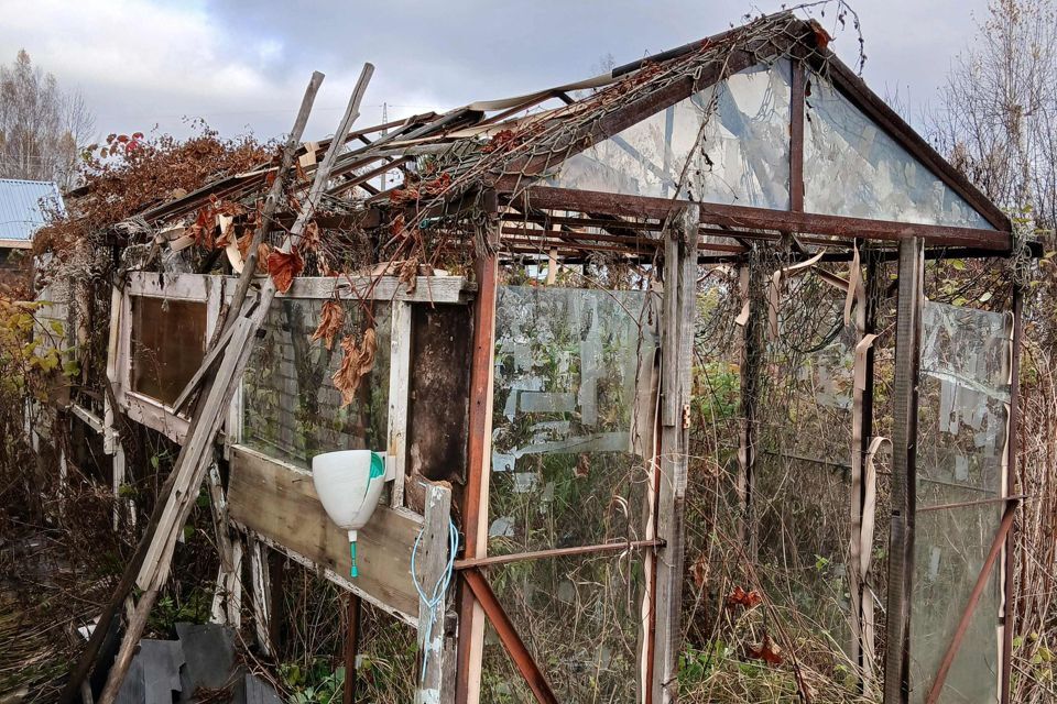 земля г Бор Бор городской округ, СНТ Чайка фото 8