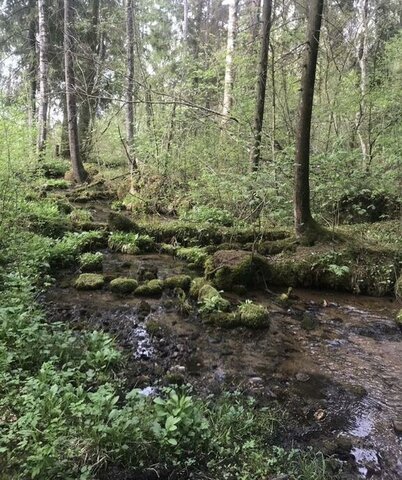 земля п Беседа Большеврудское сельское поселение фото