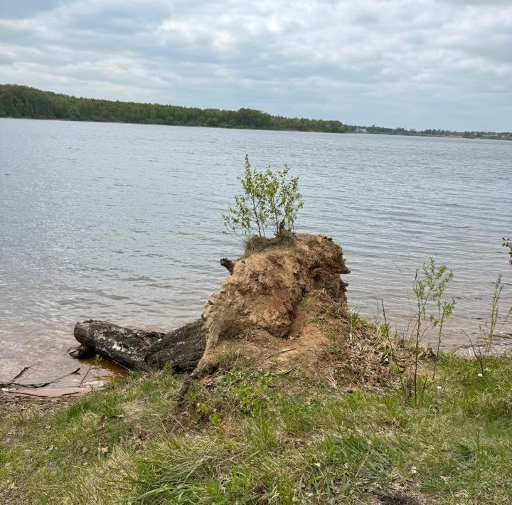 земля городской округ Рузский д Щербинки фото 2