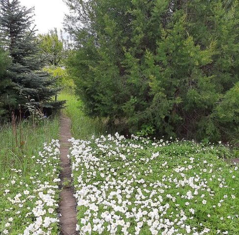 снт тер.Приморье Ерзовское городское поселение, 61-я линия, 18 фото