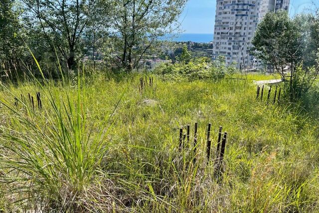 ул Тимирязева 19 Сочи городской округ фото