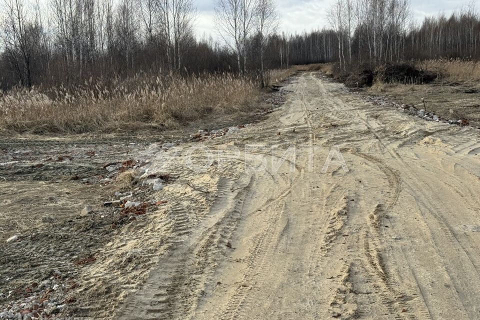 земля р-н Нижнетавдинский фото 2