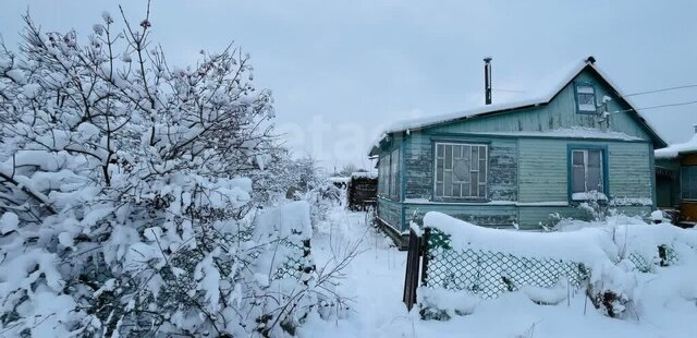 массив Кусино Кусинское сельское поселение, Центральная дорога фото