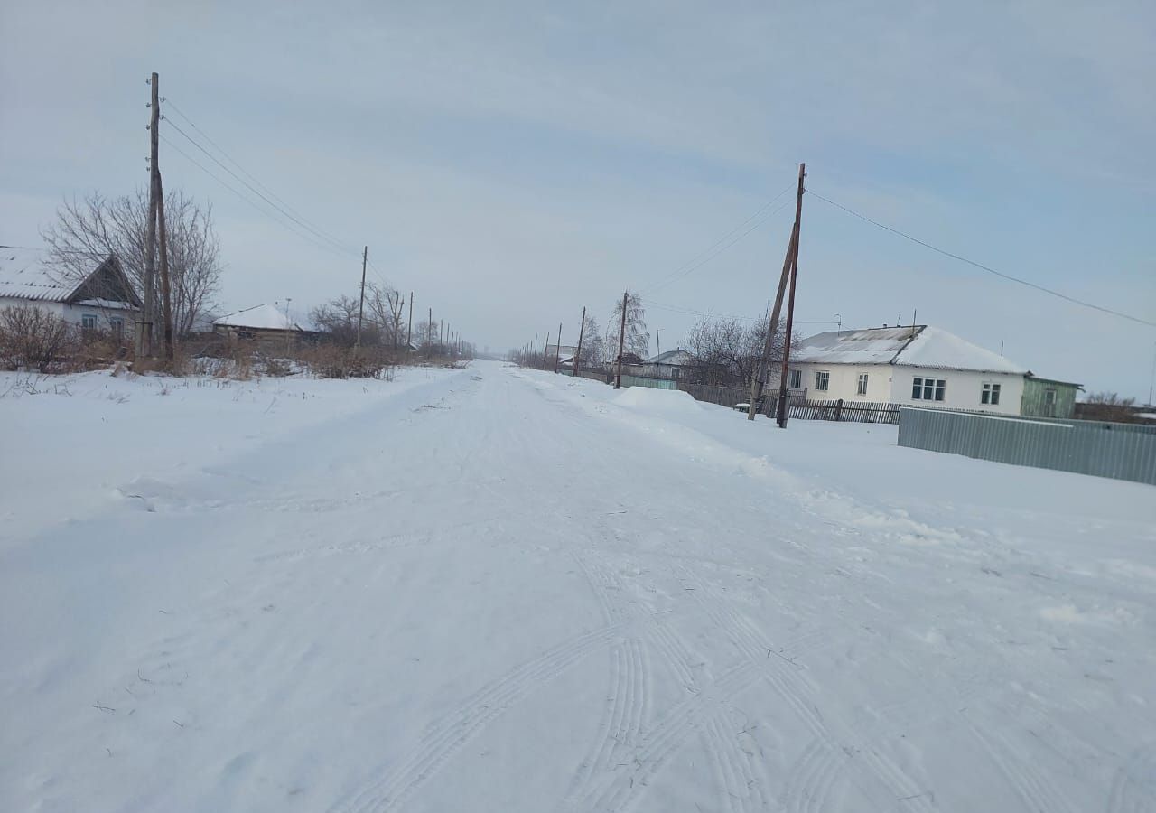 дом р-н Панкрушихинский п Красноармейский ул Центральная Панкрушиха фото 16