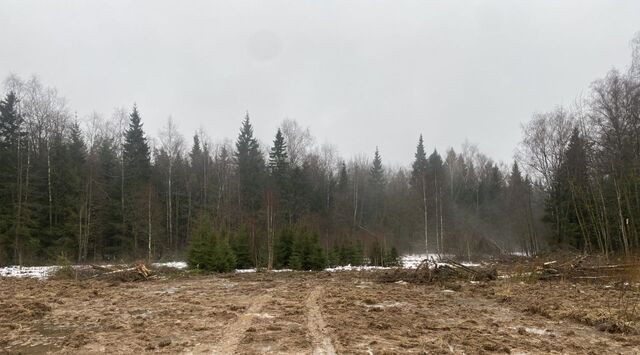 ш Пятницкое Химки городской округ, д. Юрлово фото