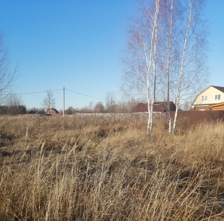 земля р-н Богородский д Крашово ул Бедринская фото 3