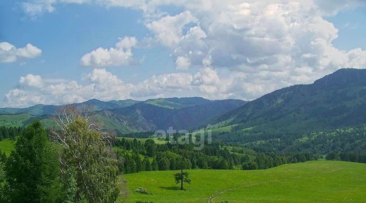 земля р-н Алтайский с Алтайское ул Полевая фото 3