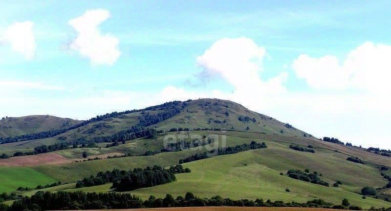 земля р-н Алтайский с Алтайское ул Полевая фото 2