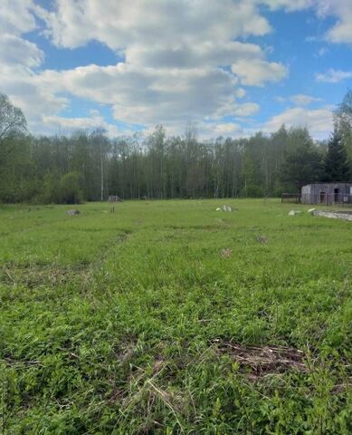 Савинское сельское поселение, СНТ Учитель-2, Великий Новгород фото