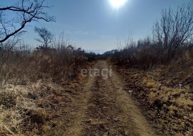 п Тавричанка ул Парковая фото