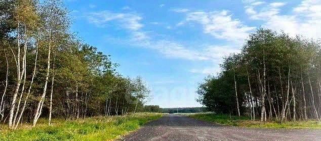 земля городской округ Клин д Княгинино ул Высокая фото 4