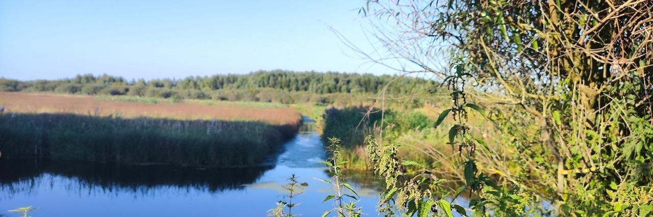 дом городской округ Раменский д Паткино Удельная фото 2