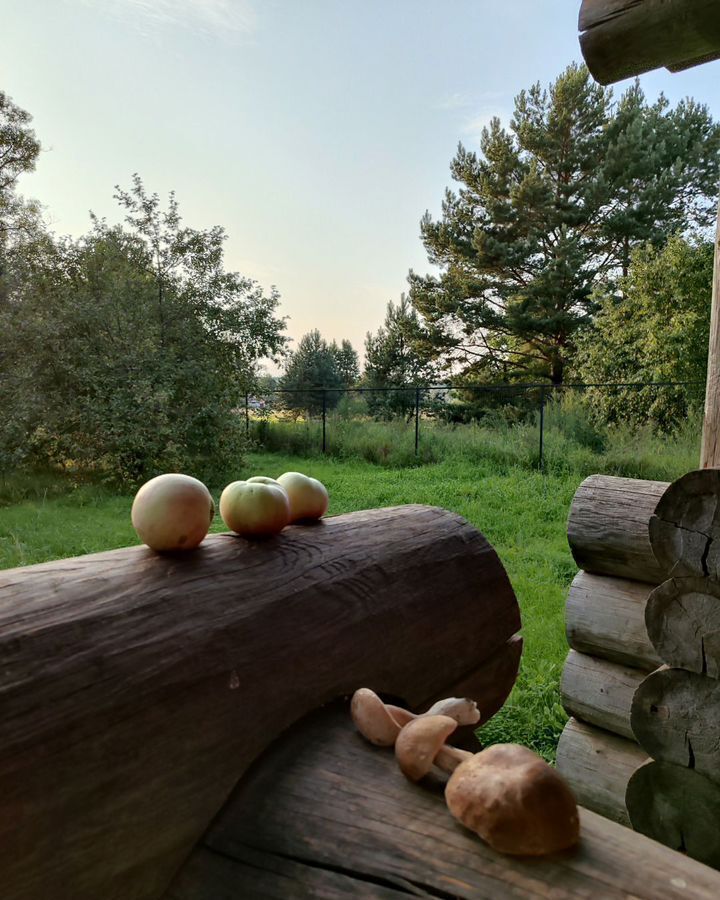 дом р-н Брасовский п Локоть Локотское городское поселение фото 11