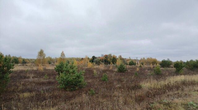 земля д Свиридоново Коломна городской округ фото