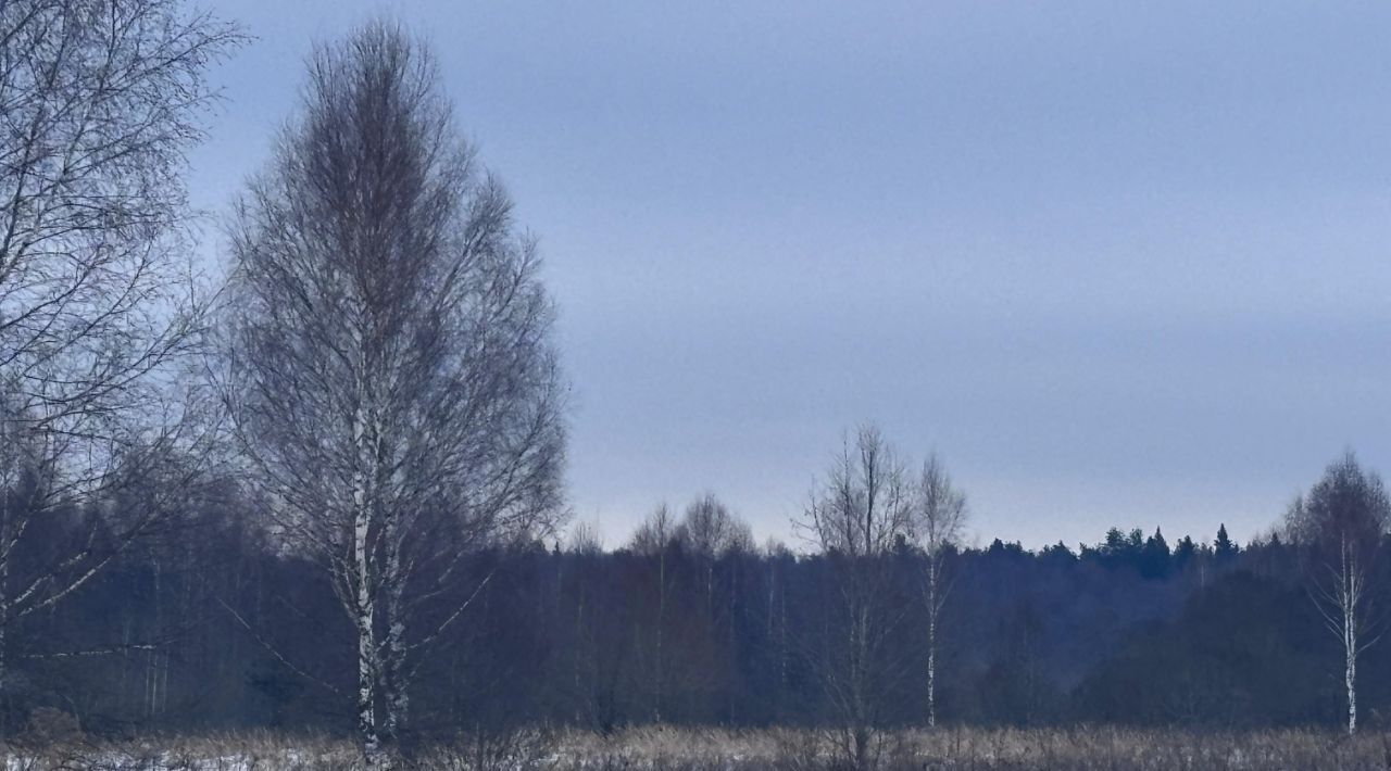 земля городской округ Клин д Орлово ул Центральная фото 1