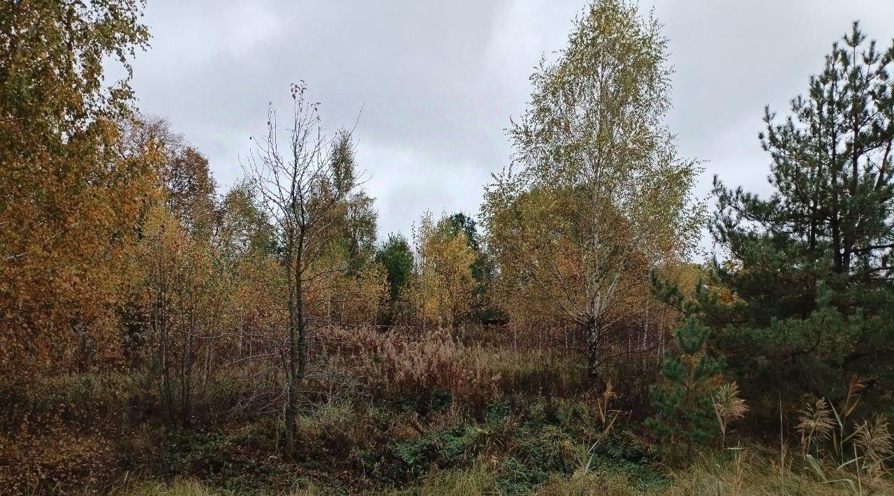 земля Коломна городской округ, д. Климово фото 1