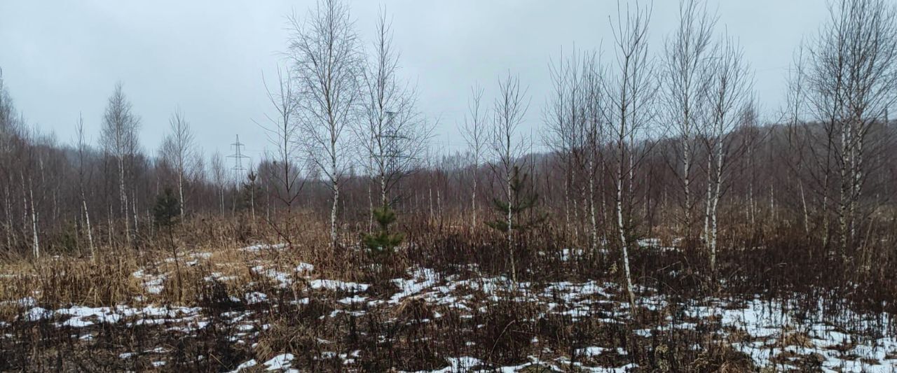 земля городской округ Ступино п Вельяминово Домодедово городской округ фото 2