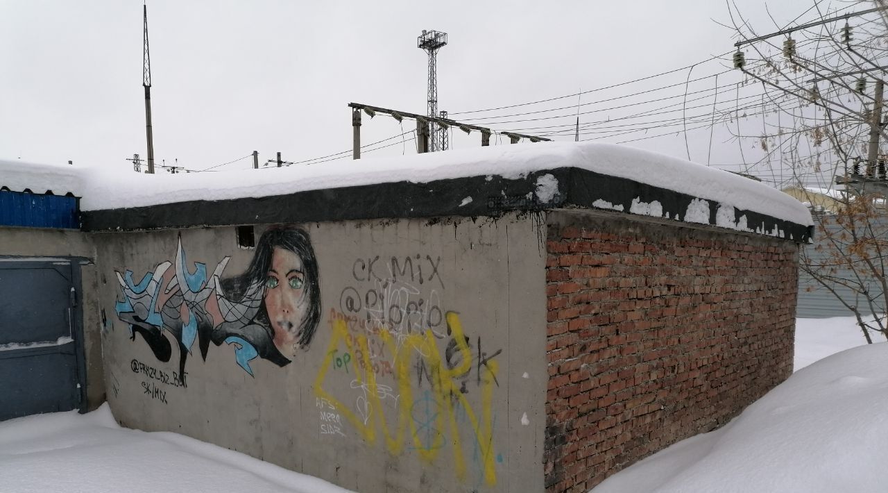 гараж г Томск р-н Октябрьский ул Рабочая 2с/3 фото 5