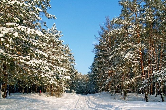 дом р-н Белоярский рп Белоярский ул Парковая загородный комплекс Лайф, Верхнее Дуброво фото 2