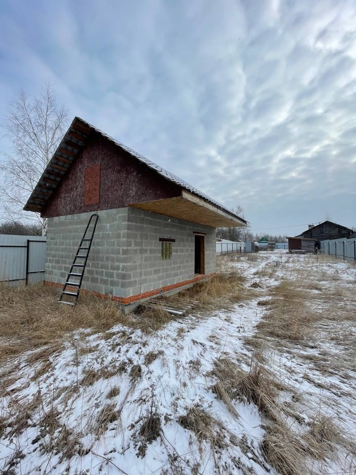 дом городской округ Орехово-Зуевский д Авсюнино фото 3