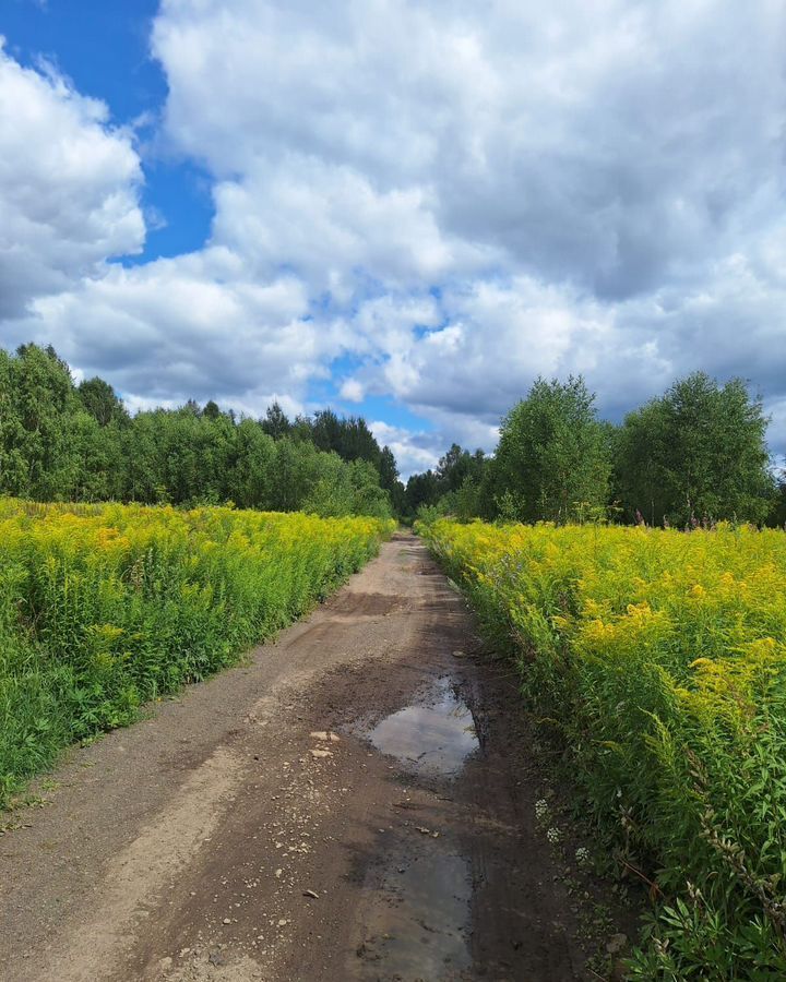 земля г Бор с Кантаурово (Кантауровский с/с) фото 1