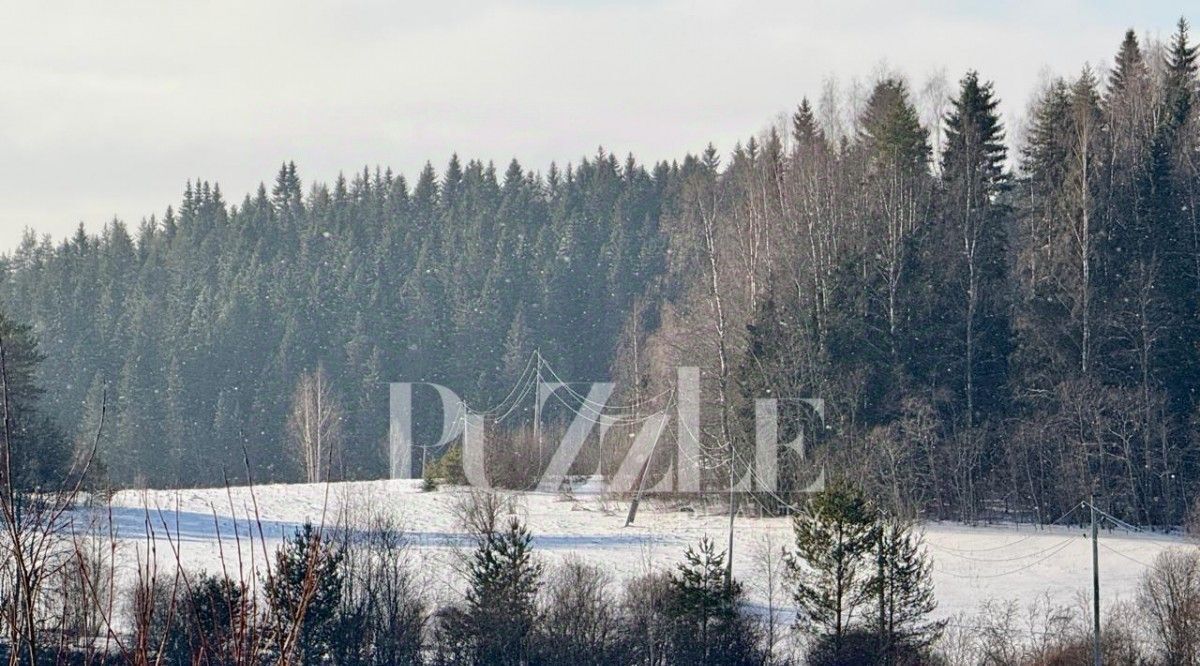 земля р-н Питкярантский д Рауталахти ул Центральная 2 фото 8