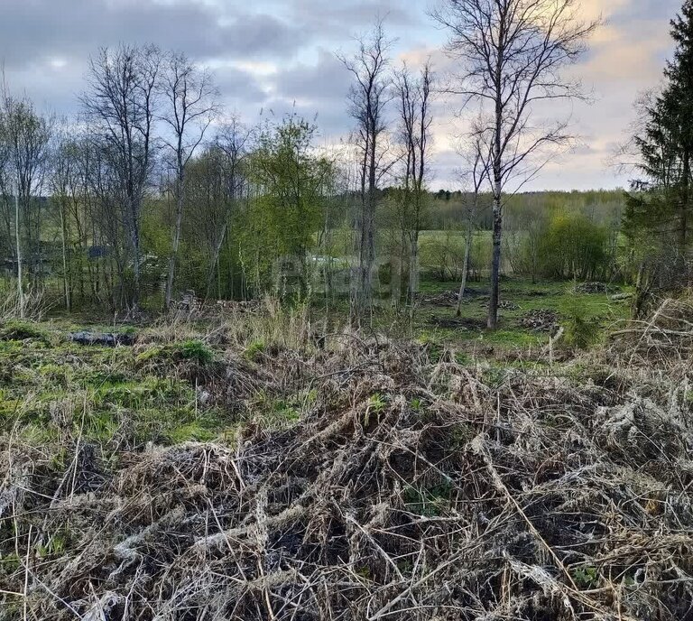 земля р-н Вологодский деревня Стризнево Старосельский сельсовет фото 4