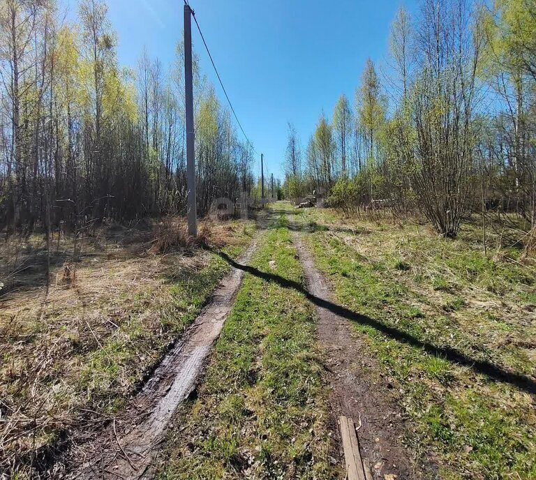 земля р-н Вологодский снт Радужное Медик, Вологда фото 2