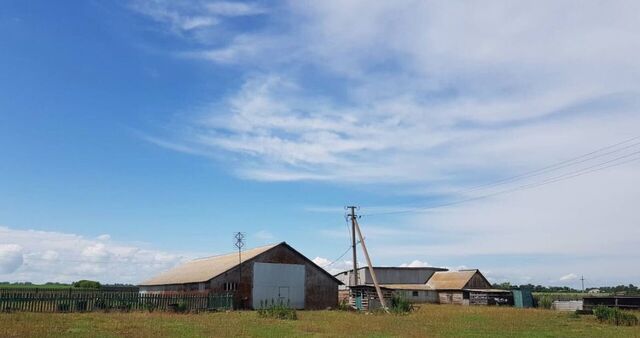 р-н Буздякский д Сыртланово ул Центральная сельсовет, Гафурийский фото