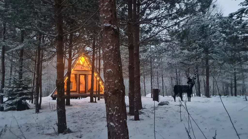 дом р-н Палкинский д Чернокуново б/н, Псков фото 10