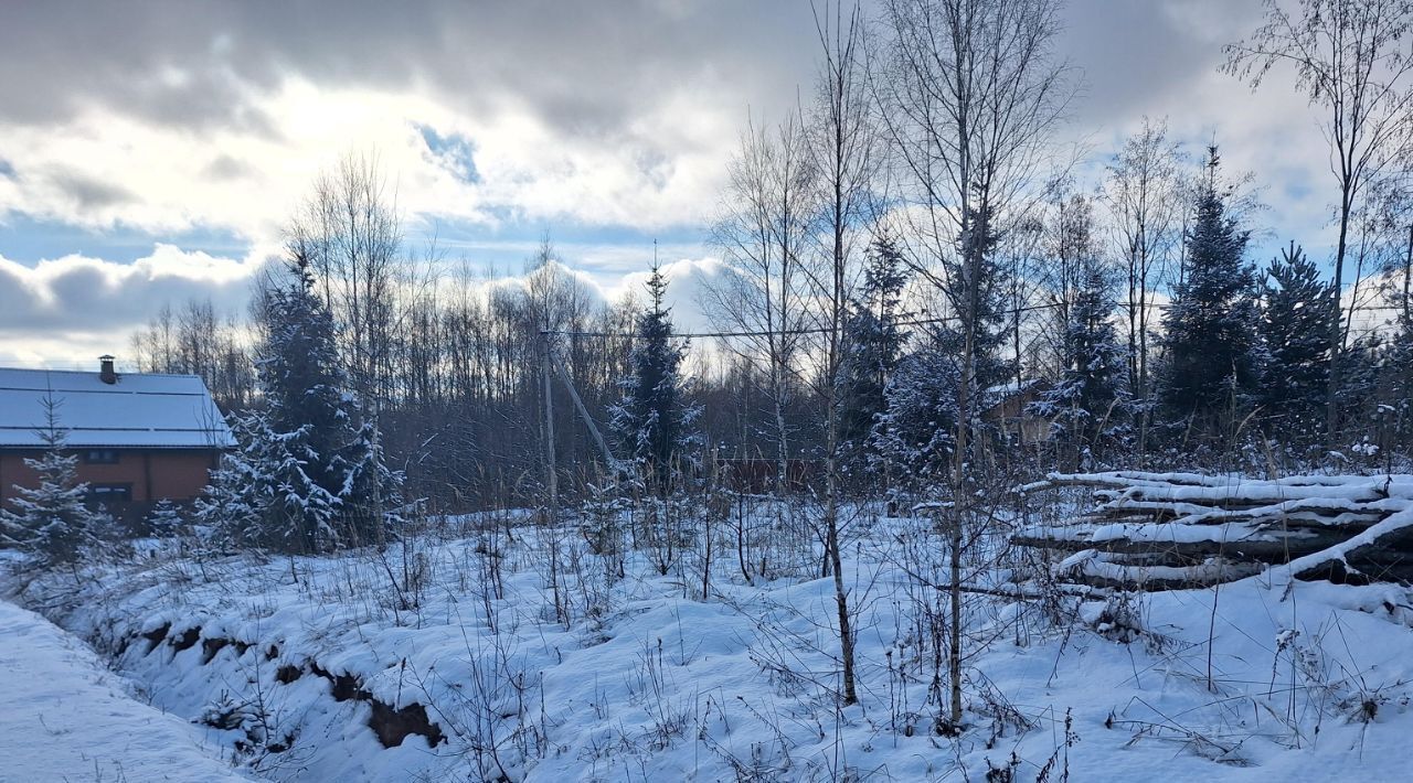 земля городской округ Сергиево-Посадский с Новосёлки фото 8