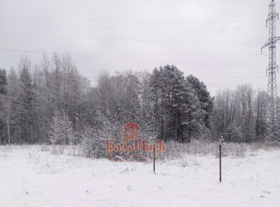 земля городской округ Дмитровский д Орево фото 5