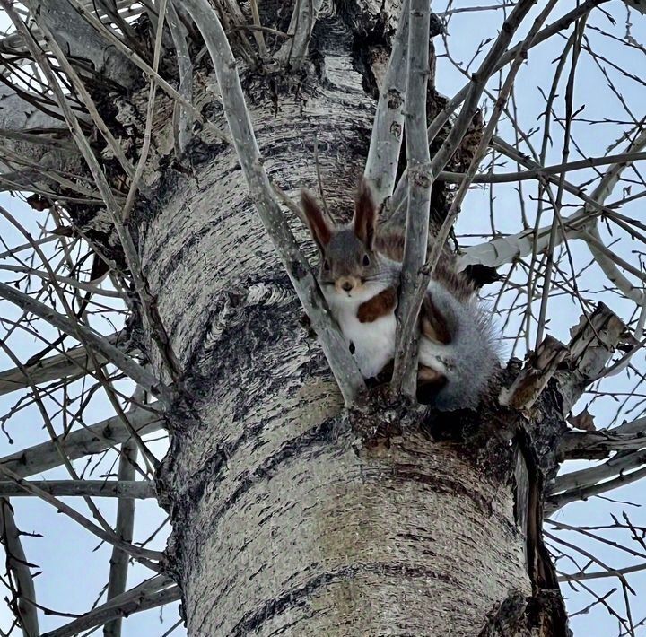 дом г Ульяновск р-н Железнодорожный ул Нагорная 21а фото 33