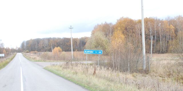 земля д Большие Пруды Алексин городской округ фото