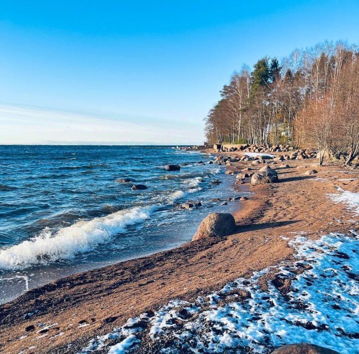 дом р-н Выборгский п Вязы Приморское городское поселение фото 19