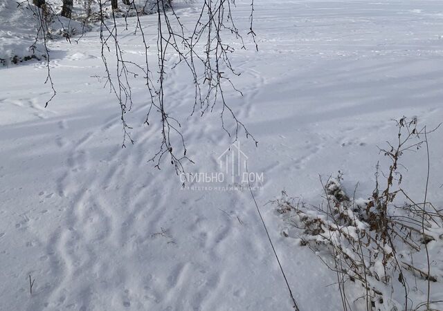 земля Дзержинск фото